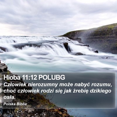 Hioba 11:12 POLUBG Bible Verse Image