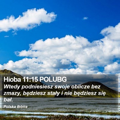 Hioba 11:15 POLUBG Bible Verse Image