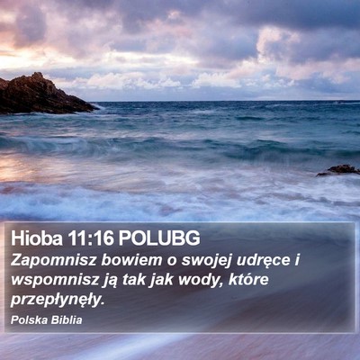 Hioba 11:16 POLUBG Bible Verse Image
