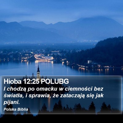 Hioba 12:25 POLUBG Bible Verse Image