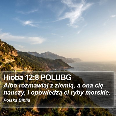 Hioba 12:8 POLUBG Bible Verse Image