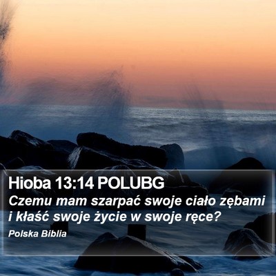 Hioba 13:14 POLUBG Bible Verse Image