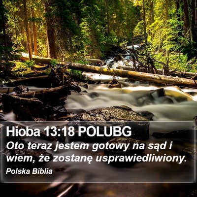 Hioba 13:18 POLUBG Bible Verse Image