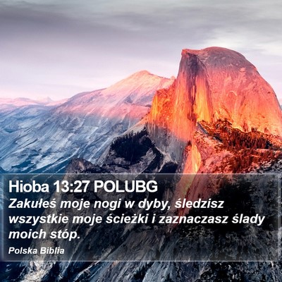 Hioba 13:27 POLUBG Bible Verse Image