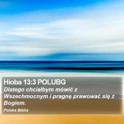 Hioba 13:3 POLUBG Bible Verse Image