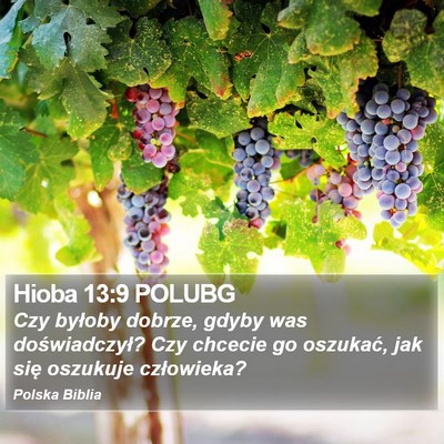 Hioba 13:9 POLUBG Bible Verse Image