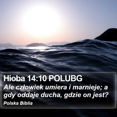 Hioba 14:10 POLUBG Bible Verse Image