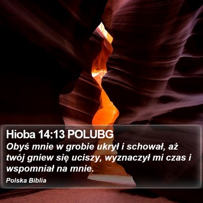 Hioba 14:13 POLUBG Bible Verse Image