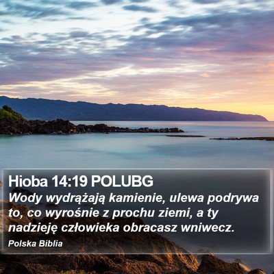 Hioba 14:19 POLUBG Bible Verse Image