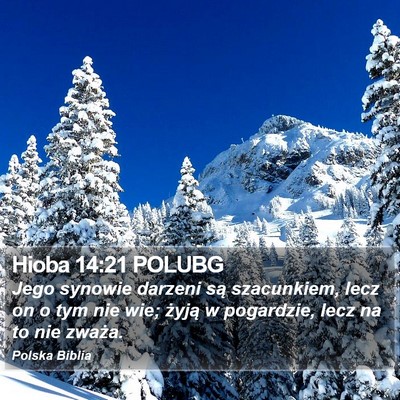 Hioba 14:21 POLUBG Bible Verse Image