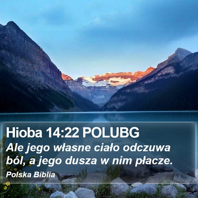 Hioba 14:22 POLUBG Bible Verse Image