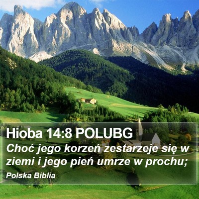 Hioba 14:8 POLUBG Bible Verse Image