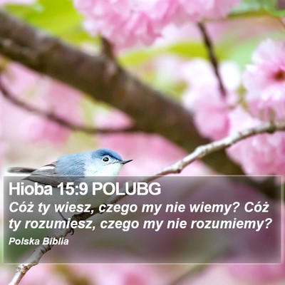 Hioba 15:9 POLUBG Bible Verse Image