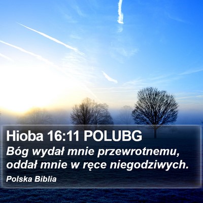 Hioba 16:11 POLUBG Bible Verse Image