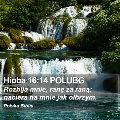 Hioba 16:14 POLUBG Bible Verse Image