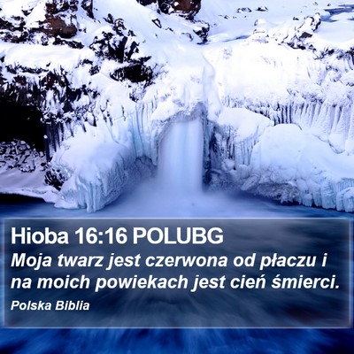 Hioba 16:16 POLUBG Bible Verse Image
