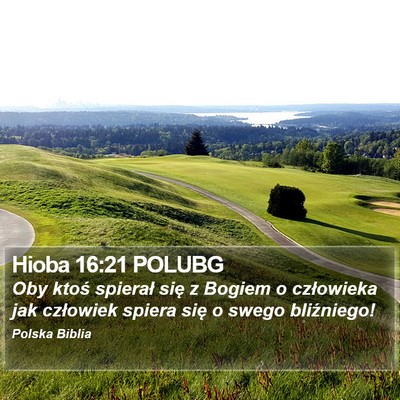 Hioba 16:21 POLUBG Bible Verse Image