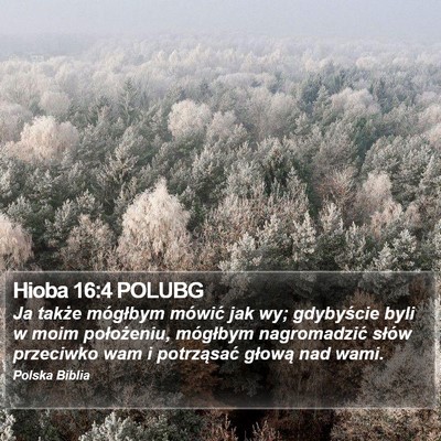 Hioba 16:4 POLUBG Bible Verse Image