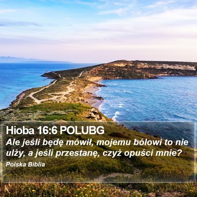 Hioba 16:6 POLUBG Bible Verse Image
