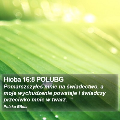 Hioba 16:8 POLUBG Bible Verse Image