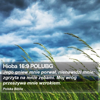 Hioba 16:9 POLUBG Bible Verse Image
