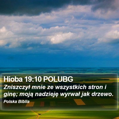Hioba 19:10 POLUBG Bible Verse Image