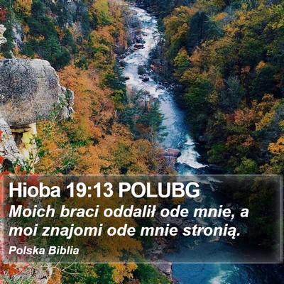 Hioba 19:13 POLUBG Bible Verse Image
