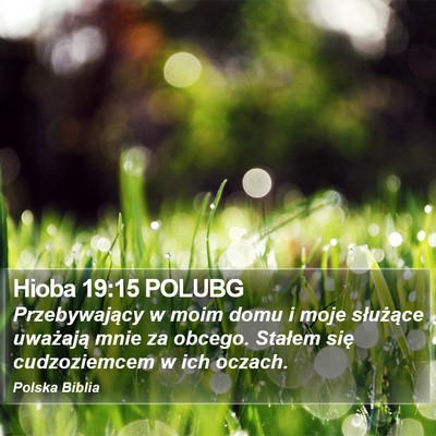 Hioba 19:15 POLUBG Bible Verse Image