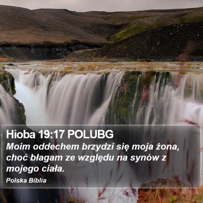 Hioba 19:17 POLUBG Bible Verse Image