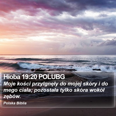 Hioba 19:20 POLUBG Bible Verse Image