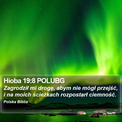 Hioba 19:8 POLUBG Bible Verse Image