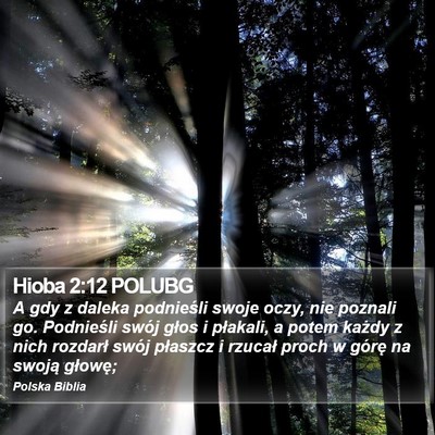Hioba 2:12 POLUBG Bible Verse Image