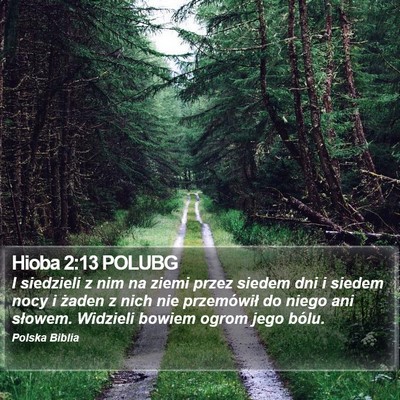 Hioba 2:13 POLUBG Bible Verse Image