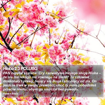 Hioba 2:3 POLUBG Bible Verse Image