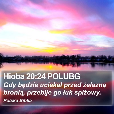 Hioba 20:24 POLUBG Bible Verse Image