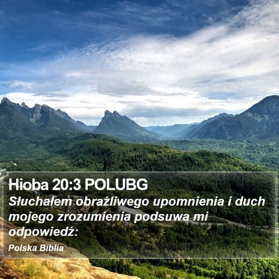 Hioba 20:3 POLUBG Bible Verse Image