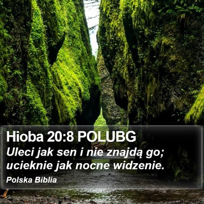 Hioba 20:8 POLUBG Bible Verse Image