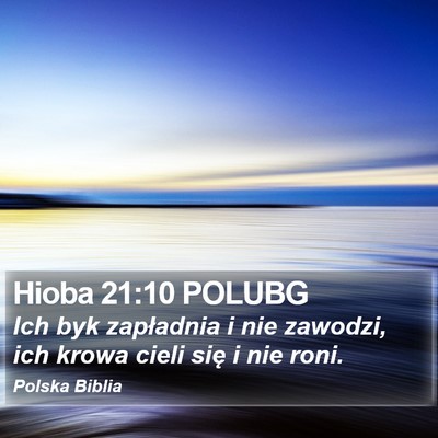 Hioba 21:10 POLUBG Bible Verse Image