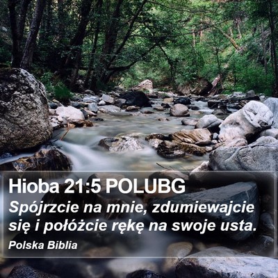 Hioba 21:5 POLUBG Bible Verse Image