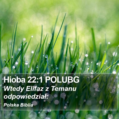 Hioba 22:1 POLUBG Bible Verse Image