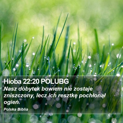 Hioba 22:20 POLUBG Bible Verse Image