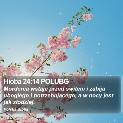 Hioba 24:14 POLUBG Bible Verse Image