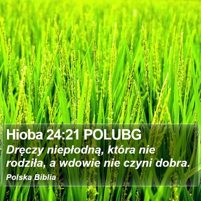 Hioba 24:21 POLUBG Bible Verse Image