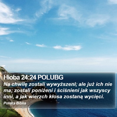Hioba 24:24 POLUBG Bible Verse Image