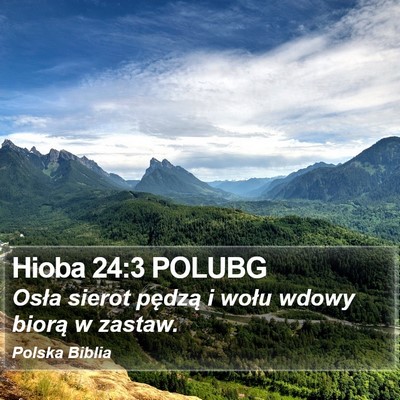 Hioba 24:3 POLUBG Bible Verse Image