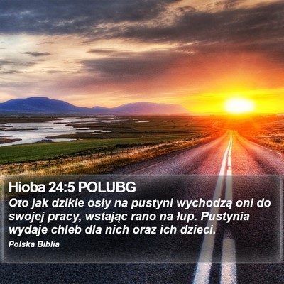 Hioba 24:5 POLUBG Bible Verse Image
