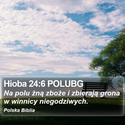 Hioba 24:6 POLUBG Bible Verse Image
