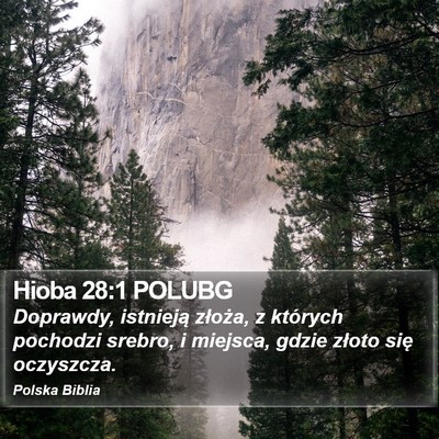 Hioba 28:1 POLUBG Bible Verse Image