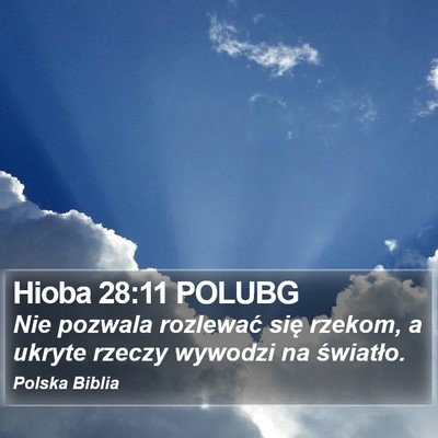 Hioba 28:11 POLUBG Bible Verse Image
