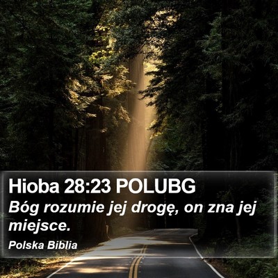 Hioba 28:23 POLUBG Bible Verse Image